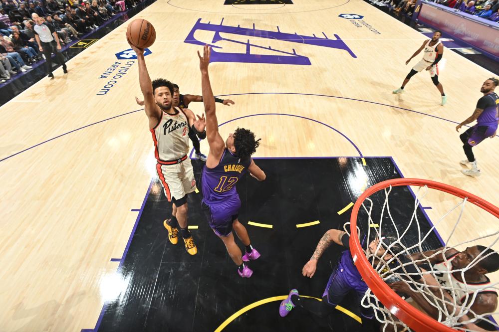 托雷斯提供 托雷斯提供